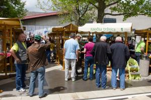 Srečanje Šempetrov 2016 (5)